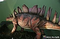 VBS_0928 - Dinosauri. Terra dei giganti